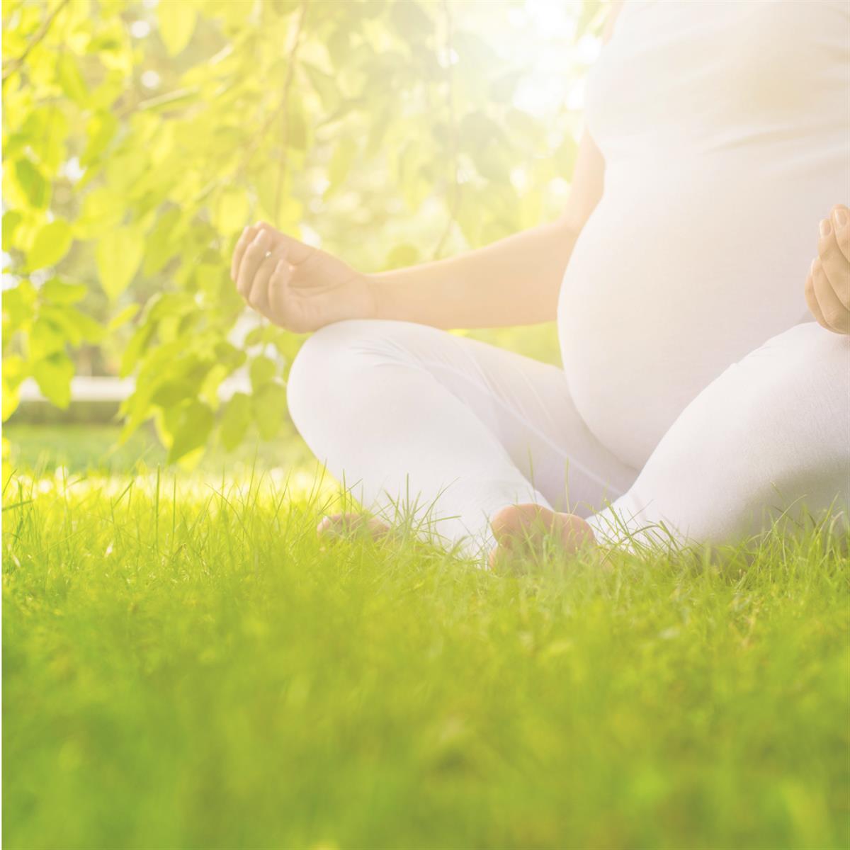 GLOW - ZWANGERSCHAPS yoga - PRENATAL Yoga - SEPTEMBER 2026 @ NUMINATAL DILBEEK
